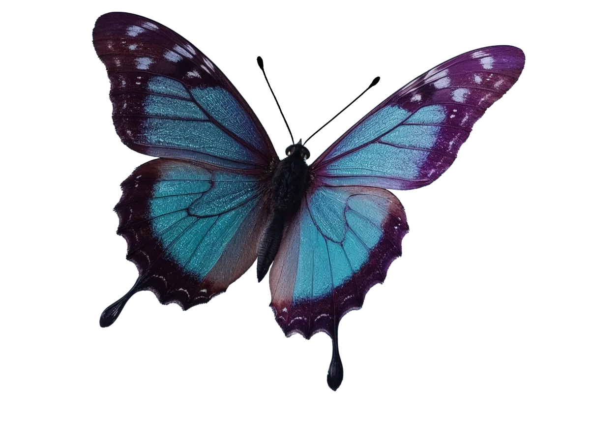 Vibrant butterfly with turquoise blue wings and deep purple edges, shown with wings fully open, representing flexible and fast-changing cloud architecture