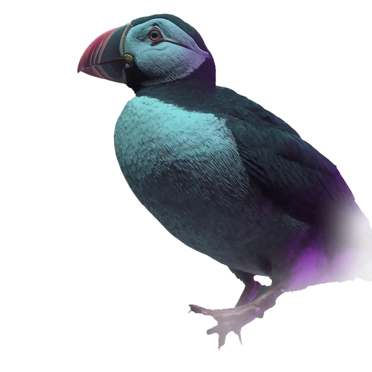 Intelligent puffin looking forward, representing niche technical expertise and precision
